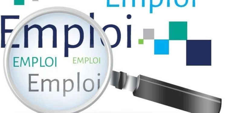 Offre d'emploi, agent d'entretien (H/F)