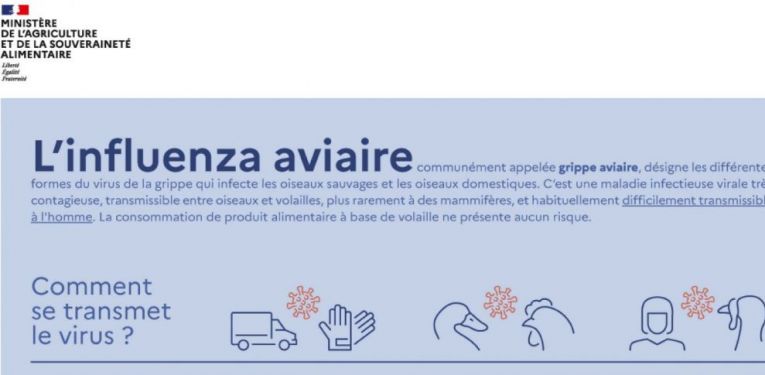 INFLUENZA AVIAIRE